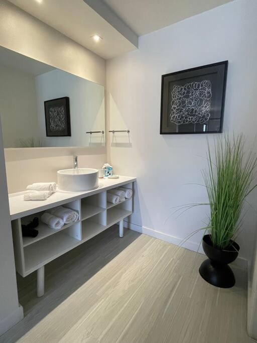 Newly Room In Cozy Hotel With Super Location To The Parks 키시미 외부 사진